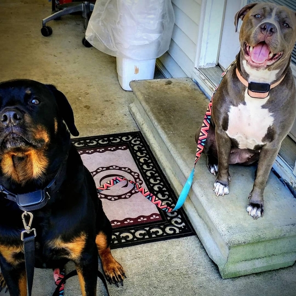 Meet your seller/buyer! - Picture 6 of 16